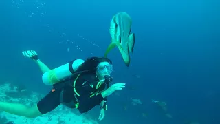 Extreme Maldives Cocoon Dive