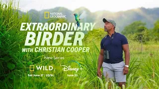 Extraordinary Birder | Teaser Trailer