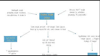 Diabetes Type II (5): Hyperosmolar Hyperglycemic State