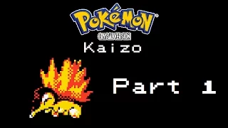 Let's Play Pokemon Crystal Kaizo - Part 1 - Early Shenanigans
