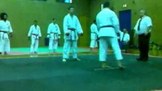 Howard taylor shotokan karate