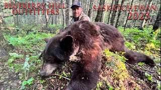 BLACK BEAR HUNTING IN SASKATCHEWAN AT BLUEBERRY HILL OUTFITTERS.