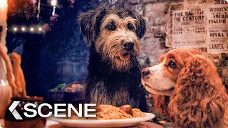 Famous Tony's Spaghetti Scene - LADY AND THE TRAMP (2019)