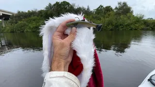 Christmas Day Fishing Live-stream!!!