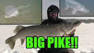 Ice Fishing for BIG PIKE! (40"+) | Insane UNDERWATER Footage!!