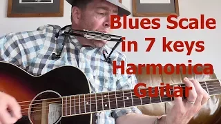 The Blues Scale on Harmonica & Guitar in 7 keys