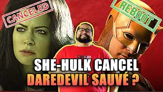 She-Hulk n'aura pas de saison 2, un espoir pour Daredevil ?