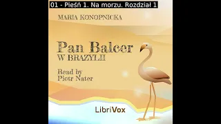 Pan Balcer w Brazylii by Maria Konopnicka read by Piotr Nater Part 1/2 | Full Audio Book