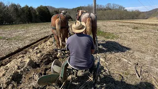 Plowing with horses.