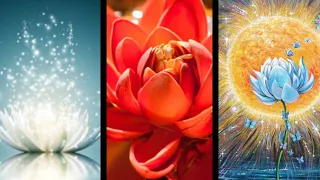 IMPORTANT MESSAGES FROM YOUR ANCESTORS THAT YOU NEED TO KNOW RIGHT NOW ✅️ PICK A CARD 🌼