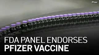 FDA Panel Endorses Pfizer's COVID-19 Vaccine