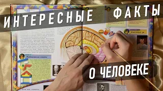 АСМР Интересные факты о человеке 🧠 S2E5 / ASMR Whispering Random Facts For Your Sleep