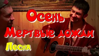 🎸 ДДТ - Осень, мертвые дожди. Кавер #music