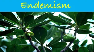 Endemism | Causes of Endemism | Endemic Species | Ecology #science #biology #ecology #csirnet