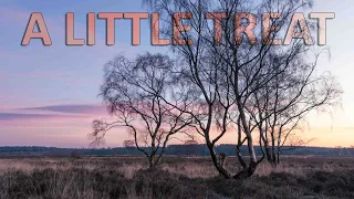 A Little treat - Landscape photography - Tripod review - NEW RELEASE #shorts