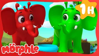 Green Paint 🎨 | MORPHLE 🔴 | Old MacDonald's Farm | Animal Cartoons for Kids