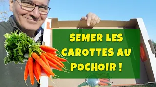 6 façons de semer les carottes (dont ma méthode au pochoir ! 😉)