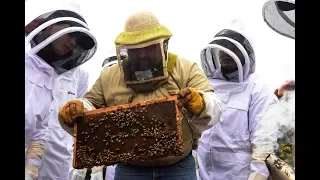 Fresno State Jordan College: Beekeeping & Biology Class Spotlight