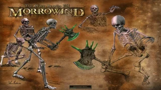 Прохождение TES III Morrowind - Святилища Даедра