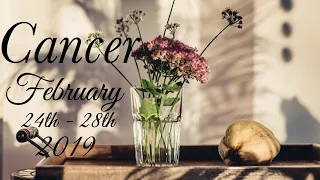 CANCER FEB 24th - 28th | THEY'RE WISHING THEY HAD YOUR ATTENTION - Cancer Tarot Love Reading