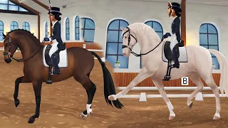 NEW Dressage Dutch Warmblood Horses in Star Stable