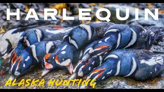 Hunting The Harlequin: Alaska