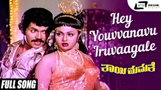 Hey Youvvanavu Iruvaagale | Thayi Mamathe | Tiger Prabhakar|Anuradha |Kannada Video Song