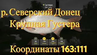 Русская рыбалка 4 • Донец - Много Крупной Густеры • Турниры с Премами • рр4 от ЧокопайТВ