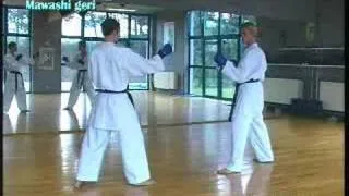 Karate: study of some kumite techniques