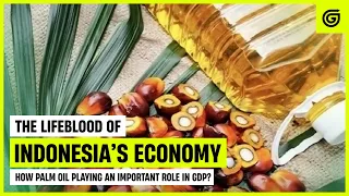 How Did Indonesia Change Their Economy By Exporting Palm Oil? | The Lifeblood of Indonesian Economy