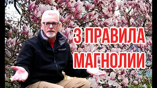 Magnolia. 3 important rules / Igor Bilevich