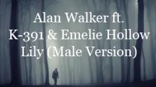 Alan Walker ft. K-391 & Emelie Hollow - Lily (Male Version)