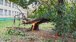 Последствия бури на Украине 24.09.2014 /  Consequences of storm in Ukraine 09.24.2014