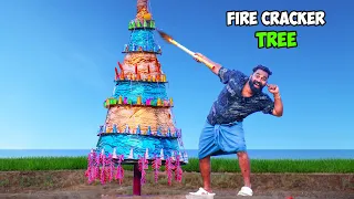 Fire Cracker Tree | പടക്കമരം കത്തിച്ചപ്പോൾ | M4 Tech |