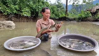 Harvest Fish on the Farm Bring it to the market sell - Building New Life | Trieu Mai Huong