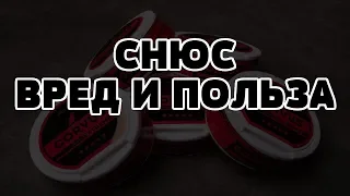 СНЮС ВРЕД И ПОЛЬЗА