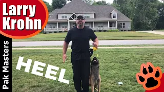 Proper hand position when teaching a competition style heel to puppies and young dogs