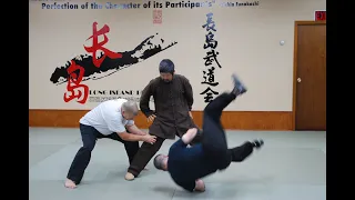 Master Chen Zhonghua "Gaining Space"