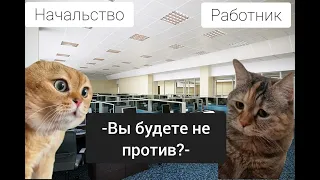 мем два кота разговаривают #мем #коты #прикол #memes #ситуация #новыйгод