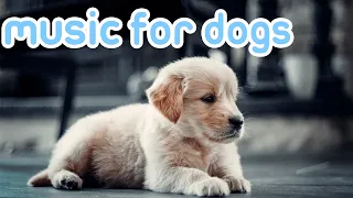 Deep Sleep Relaxing Music for Dogs! [NO ADS]