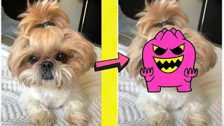 cute puppy transforms into a monster #shorts