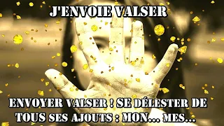 Zazie - J'envoie valser - (Clip et... Révélations !)