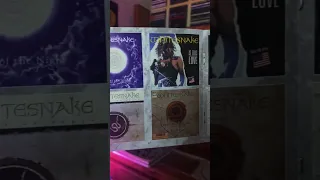 Any Fans Of This Particular Band? 🧐🔥🤘#whitesnake #1987 #music #cdcollection