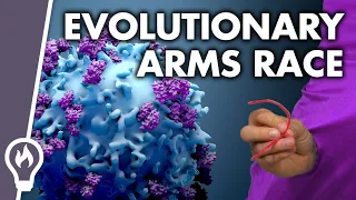 Natural Killer Cells: a Fascinating Evolutionary Arms Race