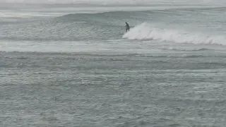 Long Rights - South Island River bar