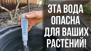 Какую воду любят ваши растения?