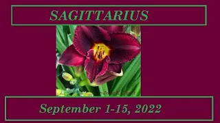 SAGITTARIUS [[ SEPTEMBER 1-15, 2022 ]] - THE KEY TO SUCCESS IS IN THE DETAILS!