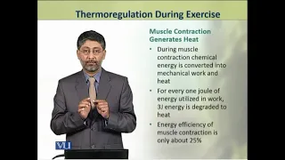 Thermoregulation During Exercise | Animal Physiology and Behavior (Theory) | ZOO502T_Topic234