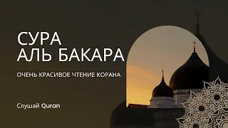 Сура Аль Бакара - каждый день защита от всего дурного