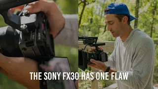 The Incredible FX30, and IT'S ONE FLAW